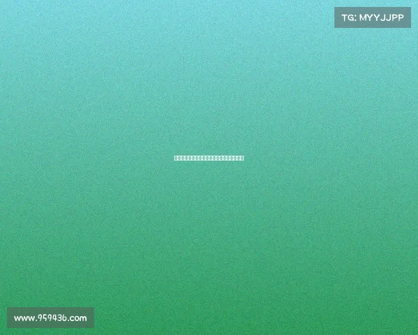 蜘蛛巧妙收网背后隐藏的生存智慧与生态意义